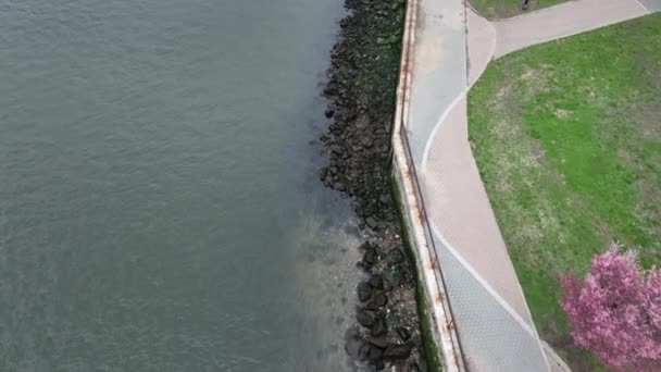 Top View East River Park Queens Cloudy Day View Edge — Vídeo de Stock