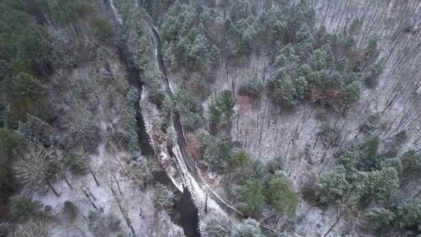 Drohnenaufnahmen Einer Schönen Straße Durch Einen Verschneiten Winterwald Den Appalachen — Stockvideo