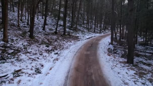 Filmato Liscio Drone Una Bella Strada Attraverso Una Foresta Invernale — Video Stock