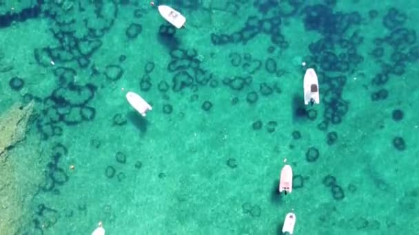 Vista Aérea Drones Barcos Mar Adriático Azul Claro Isla Krk — Vídeo de stock