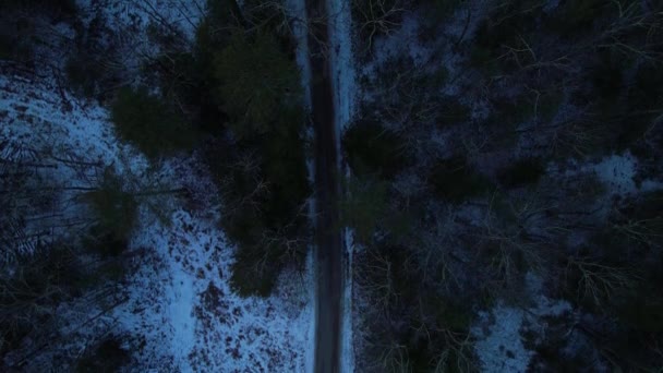 Дорога Через Ночной Заснеженный Зимний Лес Аппалачских Горах Зимой Нью — стоковое видео