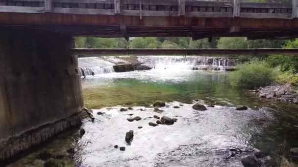 Visser Bij Een Beek Bij Krnica Koper Triglav National Park — Stockvideo