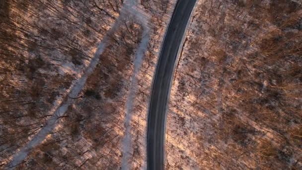 Εναέρια Drone Πλάνα Ενός Όμορφου Δρόμου Μέσα Από Ένα Χιονισμένο — Αρχείο Βίντεο
