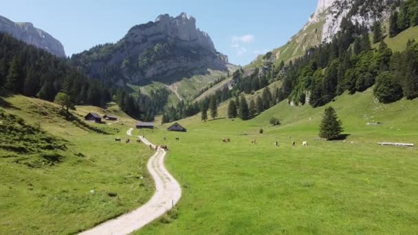 瑞士境内的阿尔卑斯山 有人行道 农场和山脉的绿色山谷空中无人机景观 走小路到博伦威斯 — 图库视频影像