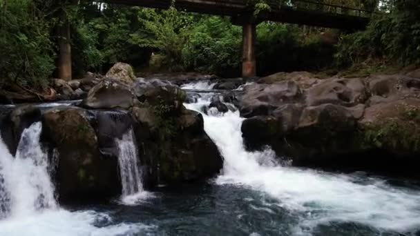 Río Con Varias Cascadas Pequeñas Por Puente Selva Tropical — Vídeos de Stock