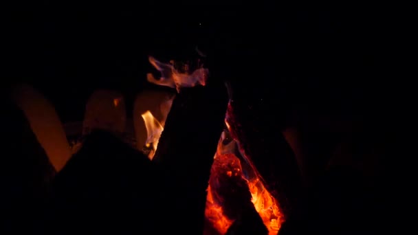 Ağır Çekim Kamp Ateşi Istiflenmiş Ahşap Çatırdıyor Parlıyor — Stok video