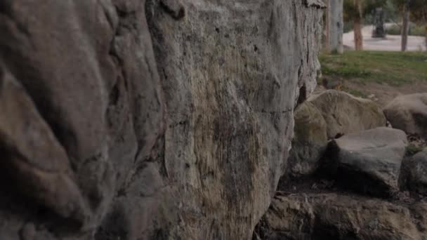 Hiking Trail Boulders Squirrel Background — Vídeo de Stock