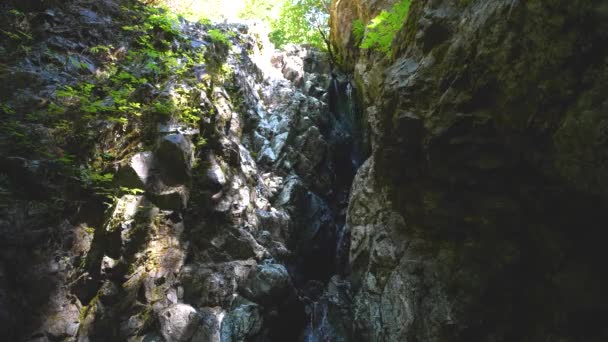 Cascada Creek Salpicando Rocas Vancouver Island Columbia Británica Canadá — Vídeo de stock