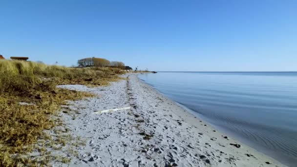 Clear Skies Rippling Water Calm Baltic Sea Shoreline Beach Kuznica — Stok Video