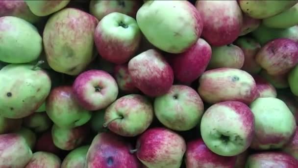 Закрийте Червоне Зелене Яблуко Покручений Знімок Malus Dosmetica Malus Sylvestris — стокове відео