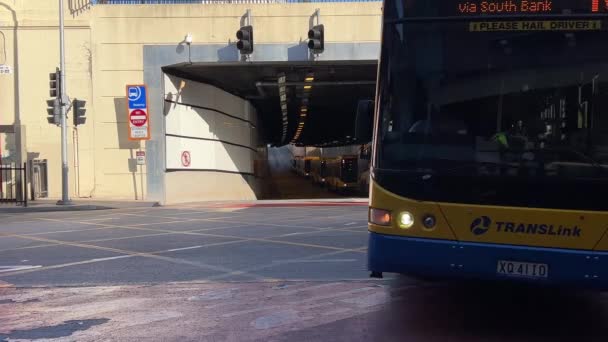 Brisbane Bus Red Tránsito Rápido Ocupado Autobús Que Cruza Centro — Vídeo de stock