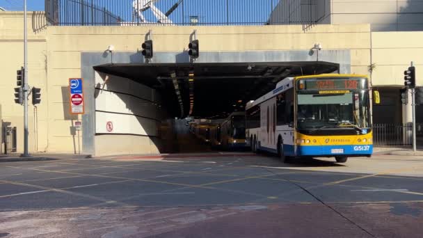 Brisbane Bus Rapid Transit Network Busy Bus Crossing Downtown Metropolitan — Wideo stockowe