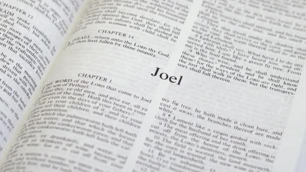 Close Shot Bible Page Turning Book Joel — Stock video