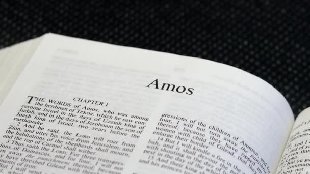 Close Shot Bible Page Het Boek Van Amos — Stockvideo
