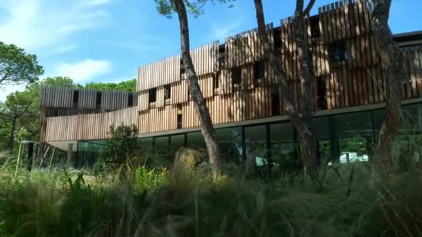 茶色の木やガラスや風に揺れる緑の植物の多くの自然の要素がたくさんある美しい近代的な建物 背の高い松の木と雲のある青い空 — ストック動画