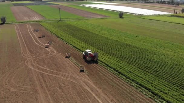 Luftaufnahme Wie Ein Traktor Kartoffeln Erntet Hinter Dem Ein Mann — Stockvideo