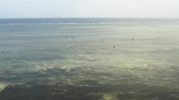 Pessoas Águas Marinhas Rasas Maré Baixa Drone Shot — Vídeo de Stock