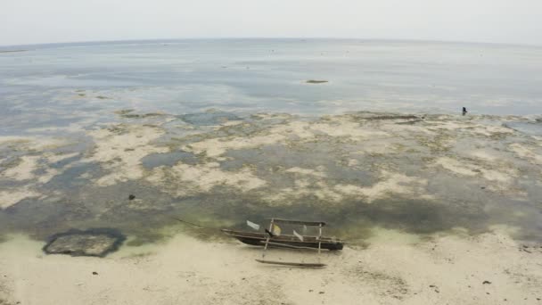 Holzkatamaran Strandet Bei Ebbe Afrikanischem Sandstrand — Stockvideo