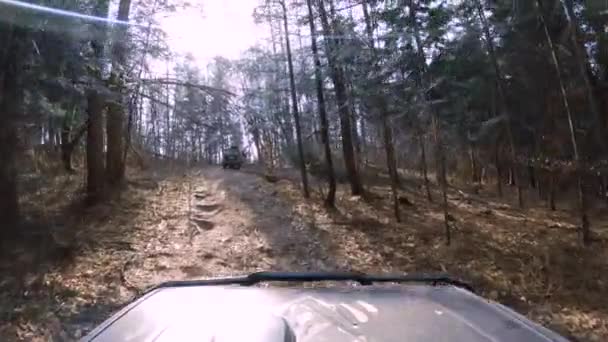 見事な森の中のオフロード 泥だらけの道路 葉や壊れた木 Gopro 4Kビュー — ストック動画