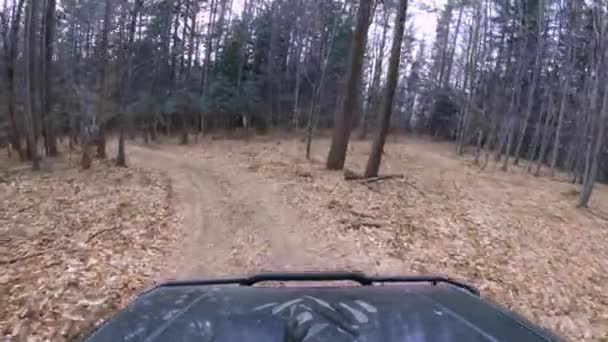 Mitshubishi Pajero Hors Route Dans Forêt Automne Magnifique Gopro Vue — Video