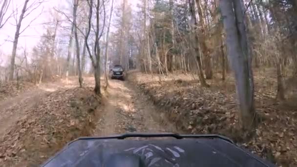 Позашляховики 4X4 Їздять Брудній Лісовій Дорозі Gopro Window Pov — стокове відео