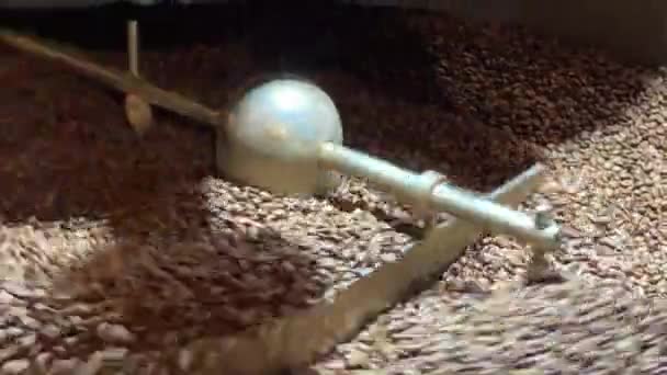 Coffee Beans Dropping Cooling Tray Machine Spinning Make Sure Heats — Vídeo de Stock