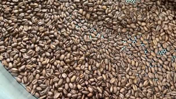 Taze Kavrulmuş Kahve Çekirdekleri Yavaş Çekimde Dönüyor Dönüyor Kızartma Makinesi — Stok video