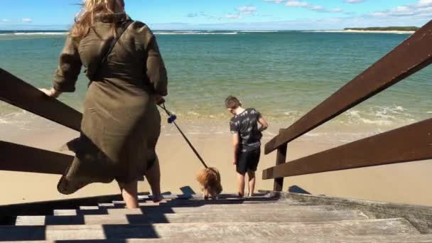 Una Madre Dos Niños Bajan Una Playa Amigable Para Perros — Vídeo de stock