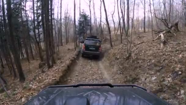 Veículos 4X4 Roading Floresta Destruída Cheia Árvores Quebradas Gopro Window — Vídeo de Stock