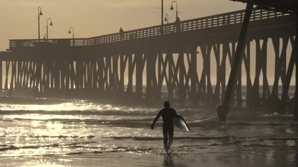 Silhouette Sunset Surfer Carrying His Surfboard Day Ocean Ocean Pier — стоковое видео