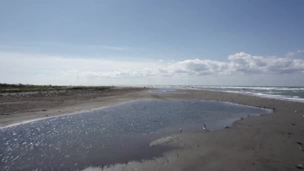 Video Mit Drohne Ein Paar Meter Vom Meer Entfernt Strand — Stockvideo
