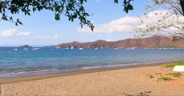 古い木と熱帯砂のビーチ 晴れた日に小さな波 グアナカステ島のココビーチ コスタリカ 小さな島や漁船と太平洋の眺め — ストック動画
