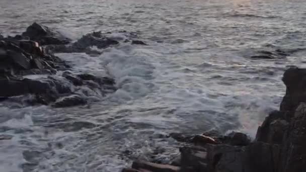 Wave Rolling Rocky Coastline Sunset Tracking Shot Slow Motion — Stock Video