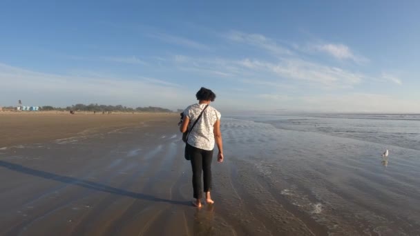 Young Black Woman Walking Barefoot Beach Wet Sand Low Tide — Vídeo de Stock