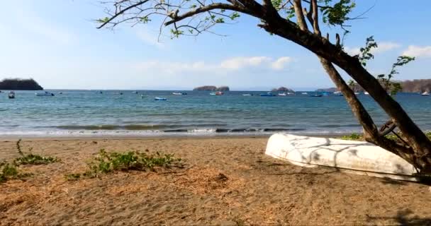 Bateau Bois Sur Plage Tropicale Avec Arbre Par Une Journée — Video