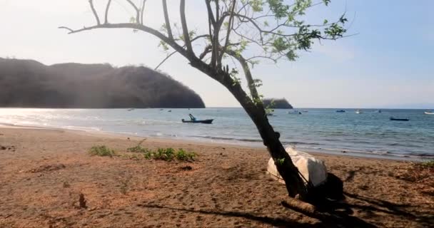 Tropikalna Piaszczysta Plaża Drzewem Małe Fale Słoneczny Dzień Coco Beach — Wideo stockowe