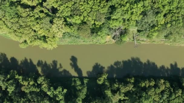 Aereo Dall Alto Verso Basso Sorvolano Torrente Fiume Torbido Alberi — Video Stock