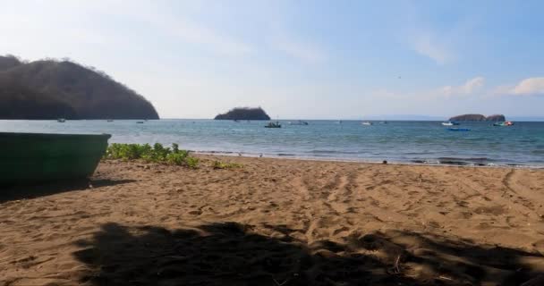 Barcos Madera Blancos Azules Playa Tropical Con Árbol Viejo Día — Vídeos de Stock