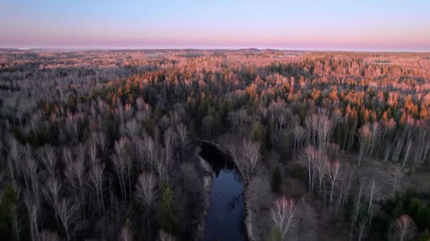 Tall Bare Trees Green Blossoming Conifers Reflected Winding River Vast — Vídeo de Stock