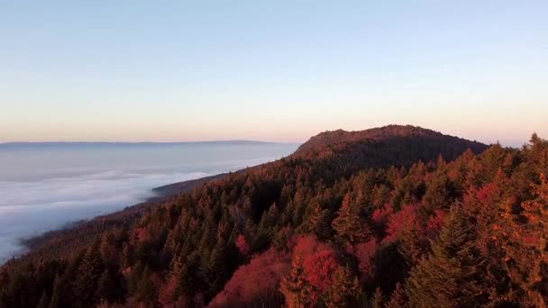 Drone Shot Moving Forwards Mountain Covered Autumn Forest Overlooking Sea — стоковое видео