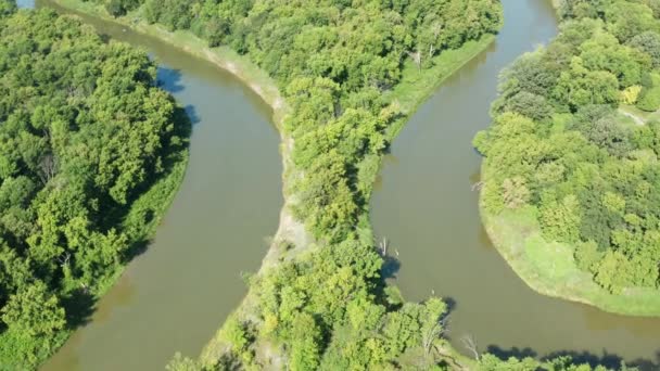 Aérea Dos Curvas Río Una Lado Otra Separadas Por Bosques — Vídeo de stock