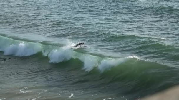 Einem Sonnigen Tag Paddelt Ein Surfer Durch Die Wellen Zeitlupe — Stockvideo