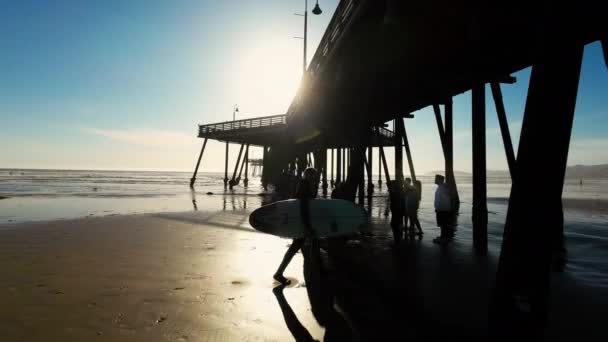 Surfista Llevando Tabla Surf Largo Playa Día Soleado Silueta Retroiluminada — Vídeos de Stock