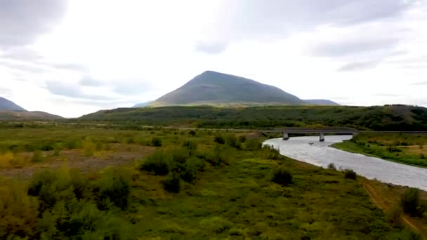 Shot Foliage Iceland — Stock Video