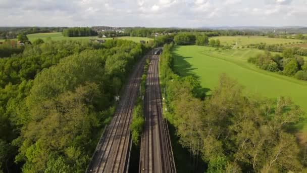 German Lake Park Aerial View — Stock Video