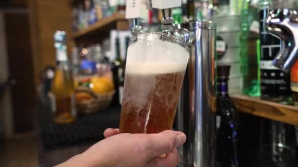 Bartender Fills Frosted Pint Glass Cold Draft Beer Slow Motion — Vídeo de stock