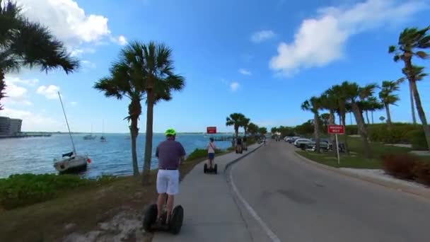 Segway Tour Sidewalk Going Ocean Palm Trees Either Side — Videoclip de stoc