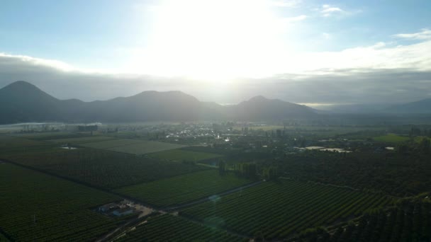 Centralino Aereo Piantagioni Campo Fattoria Verde Piccola Città Montagne Sullo — Video Stock