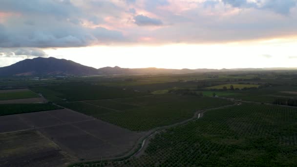 Panning Aéreo Campos Agrícolas Verdes Árvores Montanhas Fundo Pôr Sol — Vídeo de Stock