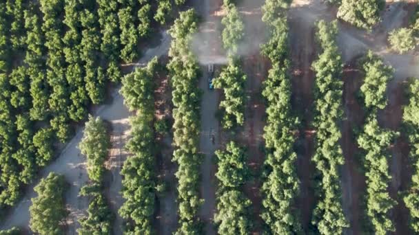 Aerial Top Dolly Out Blue Tractor Spraying Pesticides Waru Waru — Vídeo de stock